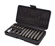 RockFORCE Набор бит 15пр. 1/2" Torx с битодержателем T20-T55